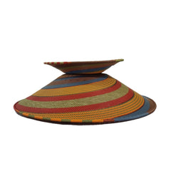 Argo Pendant light, parrot