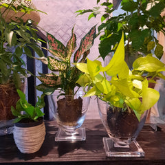 Round vase 16cm