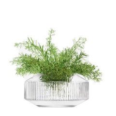 Rotunda Wide Vase 14cm Clear