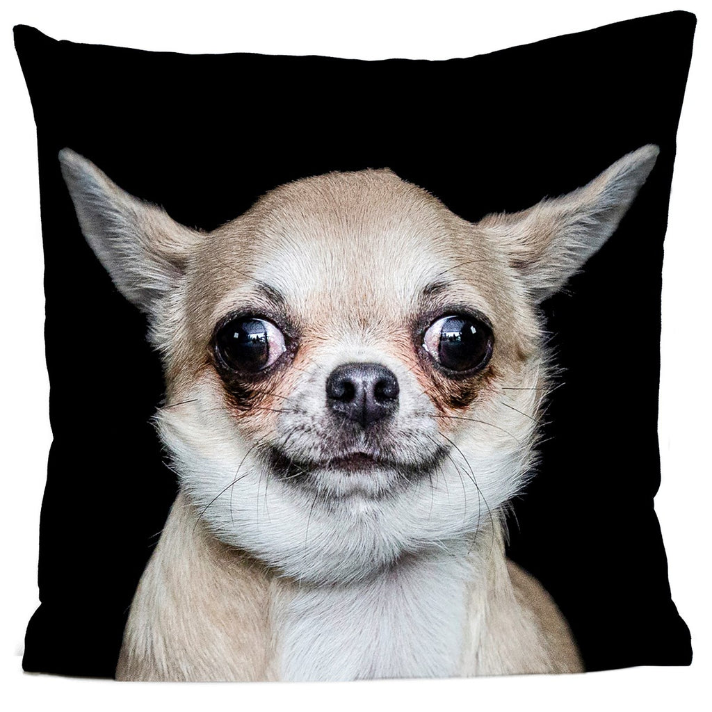Chihuahua Cushion 40x40cm